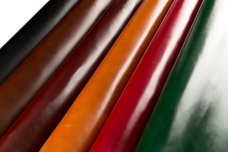 株式会社サードウェーブのプレスリリース画像10