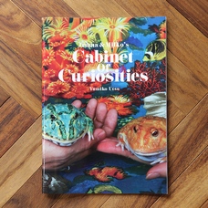 株式会社サードウェーブ　レイトレックのプレスリリース画像4