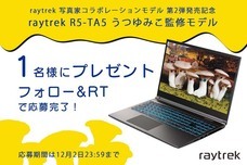 株式会社サードウェーブ　レイトレックのプレスリリース画像3