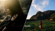 株式会社サードウェーブ　レイトレックのプレスリリース画像2