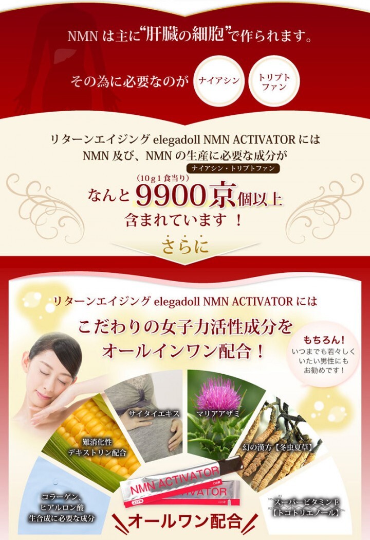 株式会社CAMELLIA.NETのプレスリリース画像5