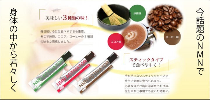 株式会社CAMELLIA.NETのプレスリリース画像8