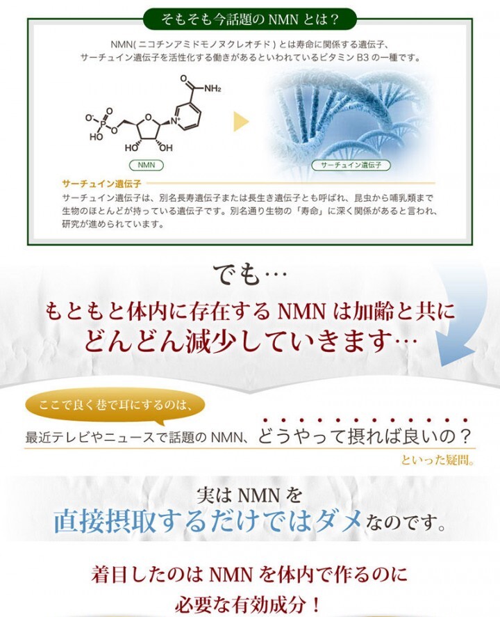 株式会社CAMELLIA.NETのプレスリリース画像4