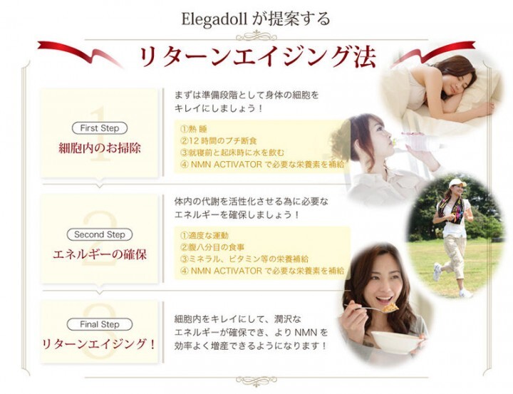 株式会社CAMELLIA.NETのプレスリリース画像7