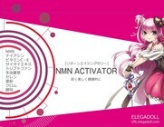 株式会社CAMELLIA.NETのプレスリリース