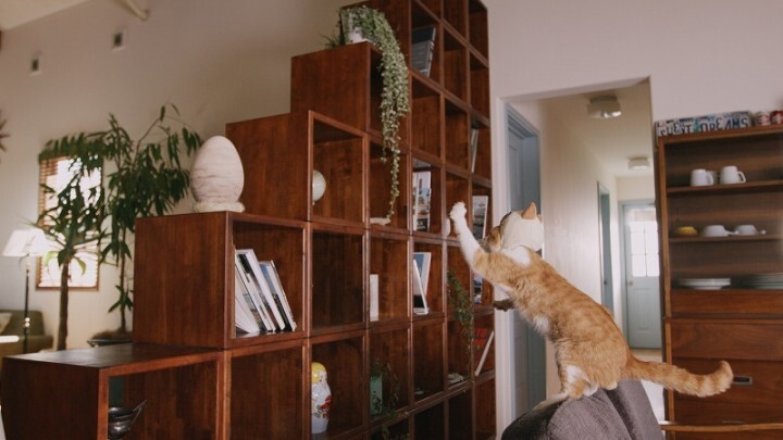 株式会社カプコンのプレスリリース画像5