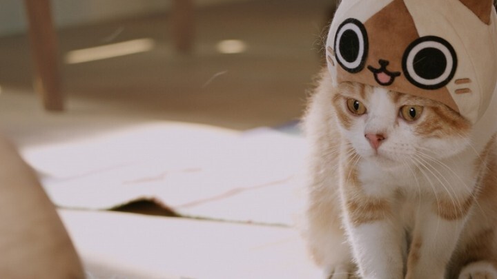 株式会社カプコンのプレスリリース画像6