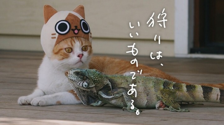 株式会社カプコンのプレスリリース画像1