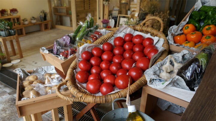 TOKYO FANTASTIC OMOTESANDOのプレスリリース画像5