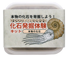 有限会社　ビットシステムのプレスリリース画像7