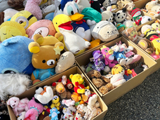 有限会社　ビットシステムのプレスリリース画像10