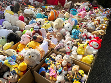 有限会社　ビットシステムのプレスリリース画像11