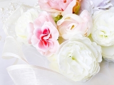 有限会社　ビットシステムのプレスリリース画像3