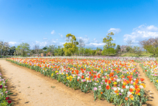 有限会社　ビットシステムのプレスリリース画像6