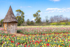 有限会社　ビットシステムのプレスリリース画像2