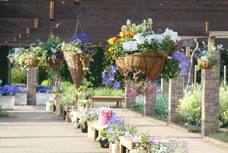 有限会社　ビットシステムのプレスリリース画像4