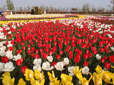 有限会社　ビットシステムのプレスリリース画像3