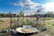 有限会社　ビットシステムのプレスリリース画像7