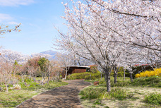 有限会社　ビットシステムのプレスリリース画像5