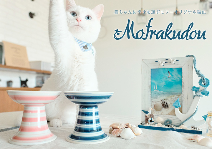 タクミコム株式会社のプレスリリース画像1