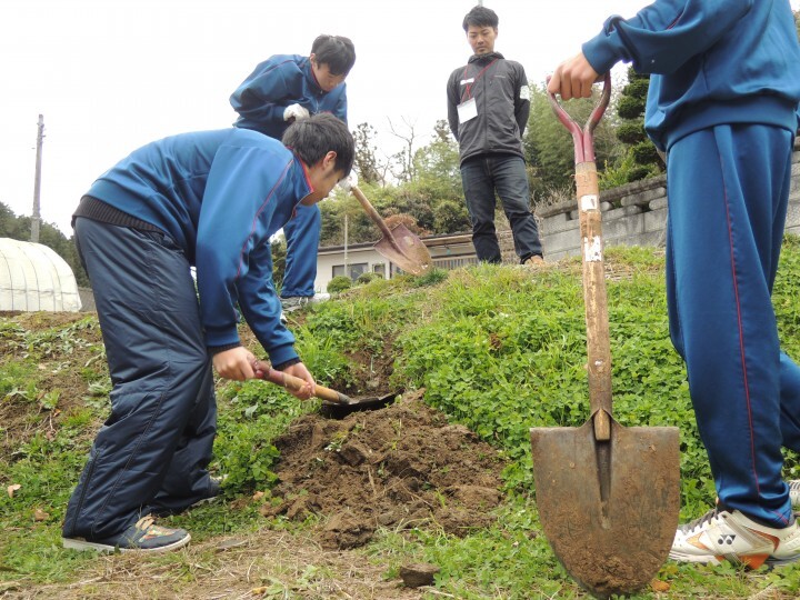 認定特定非営利活動法人桜ライン311のプレスリリース画像1
