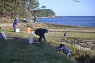 認定特定非営利活動法人桜ライン311のプレスリリース画像1