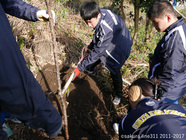 認定特定非営利活動法人桜ライン311のプレスリリース画像1