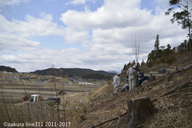 認定特定非営利活動法人桜ライン311のプレスリリース画像1