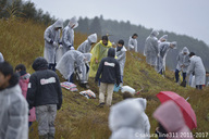 認定特定非営利活動法人桜ライン311のプレスリリース画像1