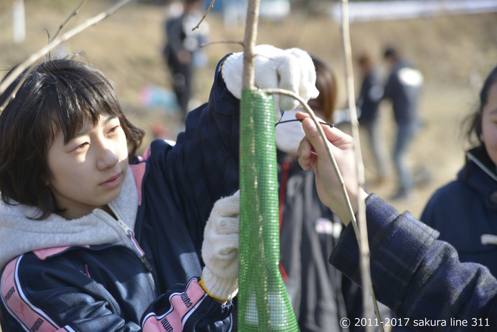 認定特定非営利活動法人桜ライン311のプレスリリース画像1