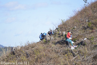 認定特定非営利活動法人桜ライン311のプレスリリース画像1