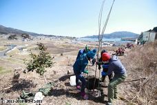 認定特定非営利活動法人桜ライン311のプレスリリース8