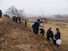 認定特定非営利活動法人桜ライン311のプレスリリース画像1