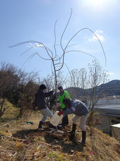 認定特定非営利活動法人桜ライン311のプレスリリース1
