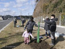 認定特定非営利活動法人桜ライン311のプレスリリース画像1