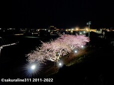 認定特定非営利活動法人桜ライン311のプレスリリース画像1