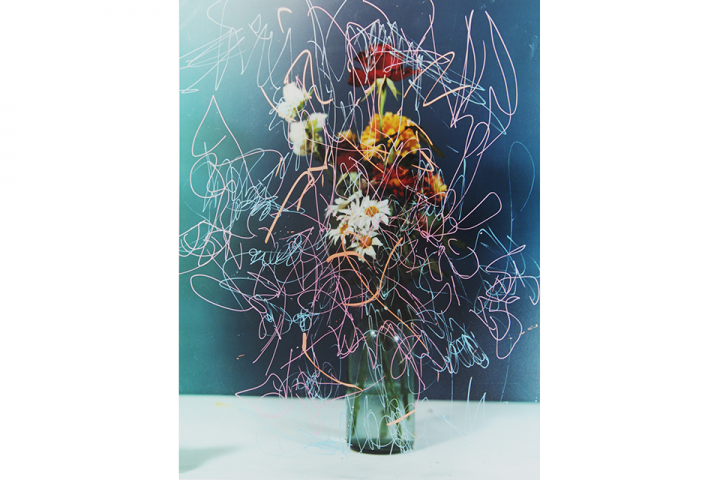 任意団体コトヅテのプレスリリース画像5