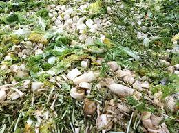 アジアインタートレード株式会社のプレスリリース画像8