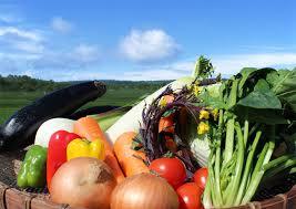 アジアインタートレード株式会社のプレスリリース画像5