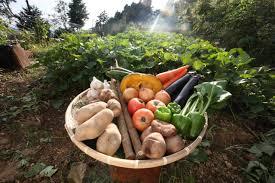 アジアインタートレード株式会社のプレスリリース画像6