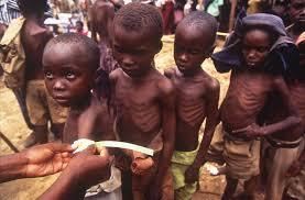 アジアインタートレード株式会社のプレスリリース画像9