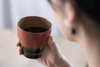 株式会社ジェイココモのプレスリリース画像3