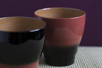 株式会社ジェイココモのプレスリリース画像6