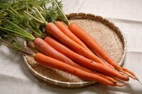 高崎市のプレスリリース