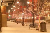 恋する横浜実行委員会のプレスリリース