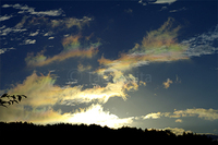 株式会社リンダパブリッシャーズのプレスリリース画像8