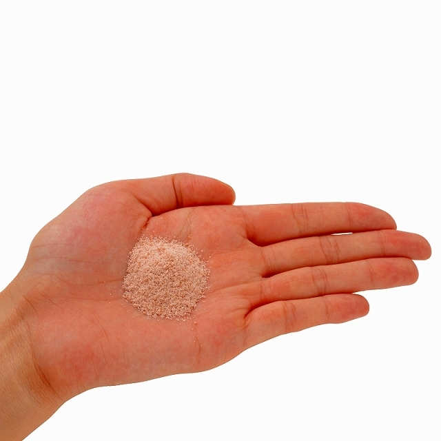 合同会社ドクター・プラーナビーのプレスリリース画像2