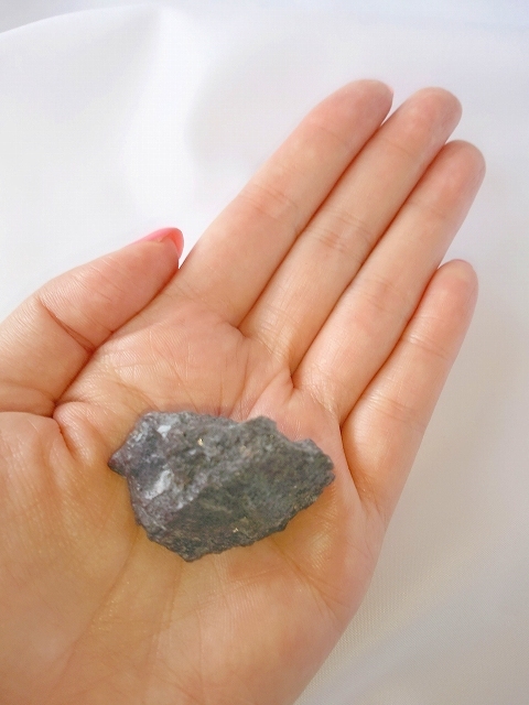 合同会社ドクター・プラーナビーのプレスリリース画像3