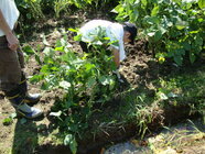 特定非営利活動法人だいずきっずのプレスリリース画像1