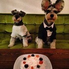 株式会社 クリーンインサイトのプレスリリース